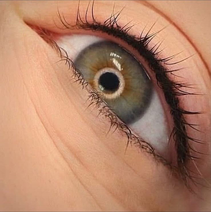 Eyes enhanced by lash line densification